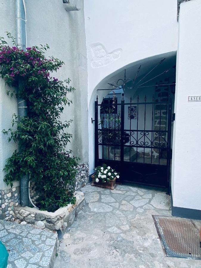 Apartments Getruda Krk Town Εξωτερικό φωτογραφία